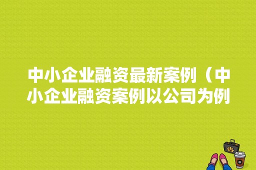 中小企业融资最新案例（中小企业融资案例以公司为例）