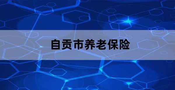 自贡养老金最新消息（自贡市养老保险新政策）