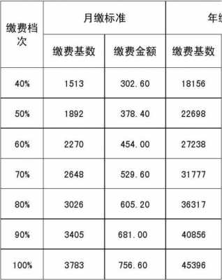 最新养老保障缴费标准（养老金缴费新标准）