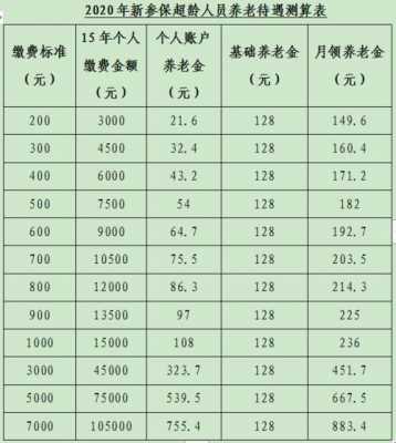 最新养老金缴纳办法（最新养老金缴费标准）