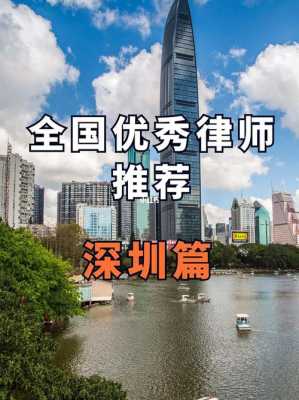 深圳经济最新案件查询（深圳经济案件律师）