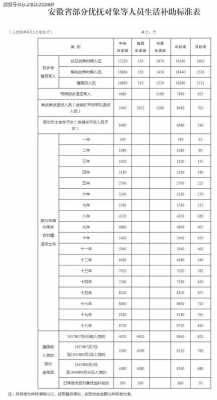 安徽最新遗属补助标准（安徽最新遗属补助标准是多少）