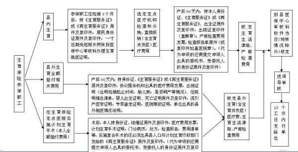 最新生育险保险（生育险保险流程）