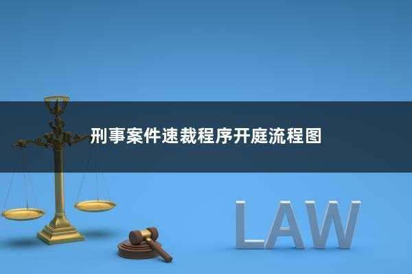 云南刑事速裁最新（云南刑事立案标准）