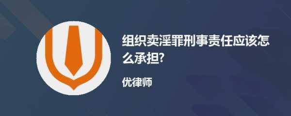 关于最新卖淫司法解释的信息