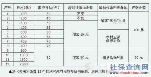 惠州农村社保最新缴费标准（惠州新农保缴费档次）