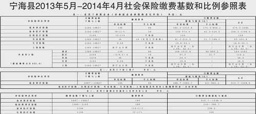 宁海最新社保价格（宁海社保缴费咨询电话）