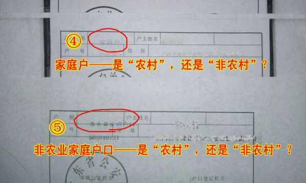 最新户口性质分几种（户口性质有几种）