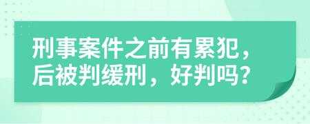 累犯最新司法解释（累犯的法条）