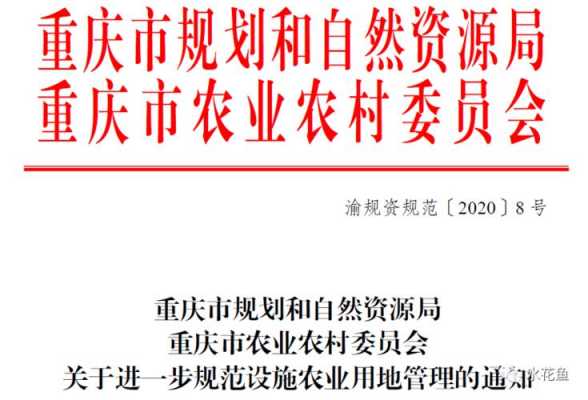 重庆农转城最新政策（重庆农转城最新政策解读）