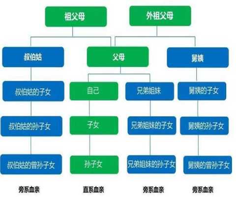 2017最新医疗直系使用（医疗直系亲属包括哪些）