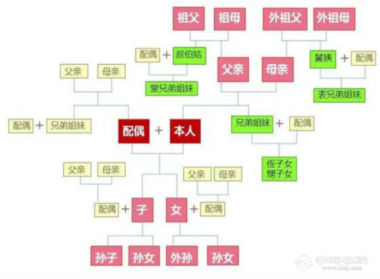 近亲属最新规定（近亲属指什么人员）