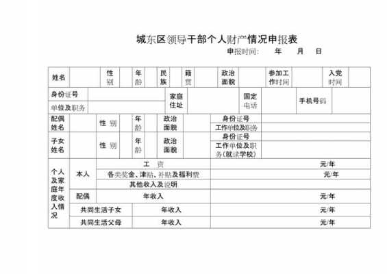 最新个人财产申报模板（个人财产报告表）