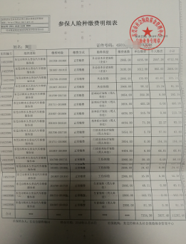 东莞最新社保流水模板（东莞最新社保流水模板查询）