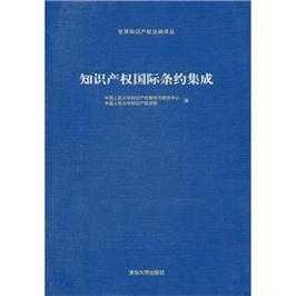 知识产权最新国际条约（知识产权法国际条约）