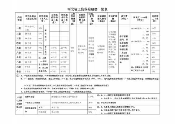 最新河北省工伤保险（河北省工伤保险待遇一览表）