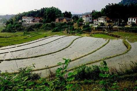 农村最新水田建房之后（农村水田建房入住还拆吗）