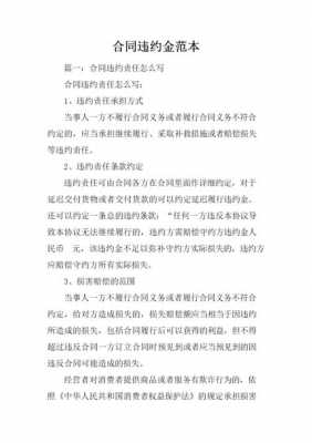 最新违约付款的责任（合同违约付款条文）