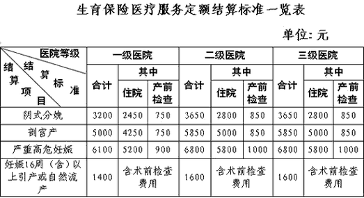 东莞生育津贴2017最新政策（东莞生育津贴2017最新政策公布）