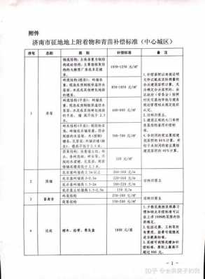 济南市最新拆迁补偿（济南市最新拆迁补偿款多少钱）