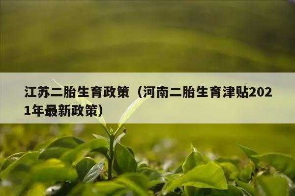 河南单独二胎最新消息（河南单独二胎政策条例）