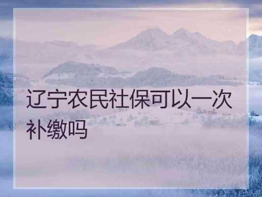 辽宁农民社保最新政策（辽宁农民社保最新政策文件）