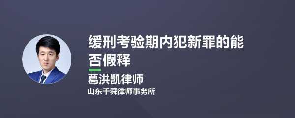 关于假释的最新规定（关于假释的适用,下列哪些选项是正确的?）