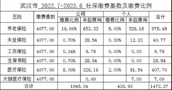 武汉最新社保缴纳基数（武汉最新社保缴纳基数是多少）