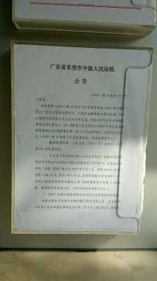 广东省法院最新公告（广东法院网司法公开）
