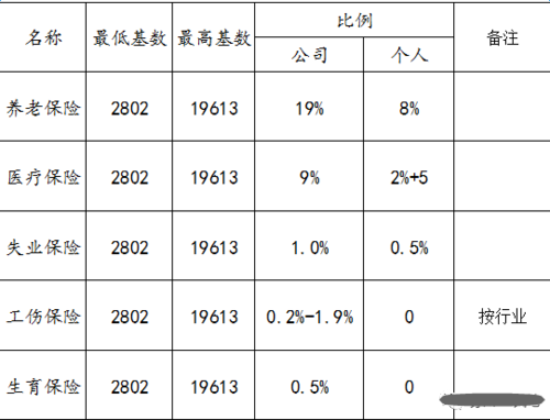 最新企业保险缴费基数（企业保险缴费基数是多少）