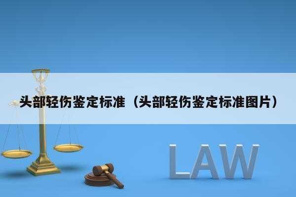 头部轻伤标准最新长度（头部轻伤的鉴定标准是什么）