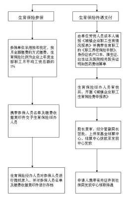 最新宝鸡生育津贴（宝鸡生育津贴报销流程）