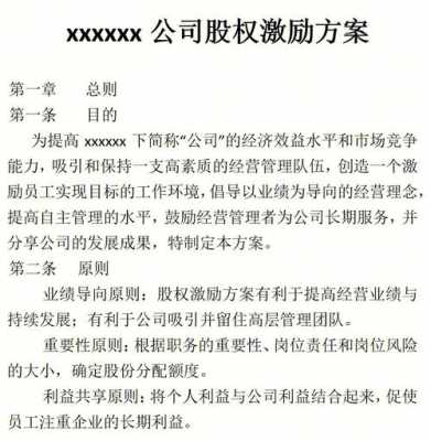 公司股权激励方案模板最新（公司股权激励方案模板最新文件）