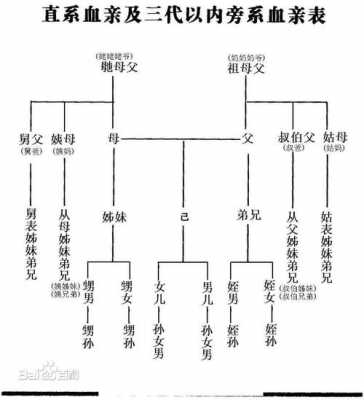 近亲关系的最新规定（近亲关系包括）