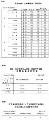 最新优抚标准（最新优抚标准一览表甘肃最新优抚标准）