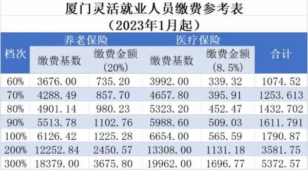 厦门医社保最新交费（厦门医社保缴费）