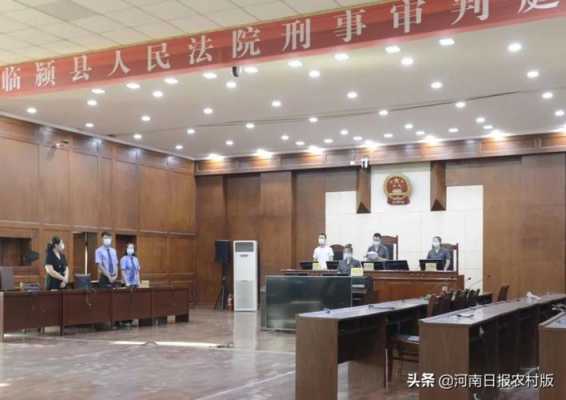 漯河最新刑事案件（漯河市最新案件）