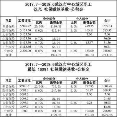 武汉2017年养老金上调最新消息（武汉2017年社保缴费基数）