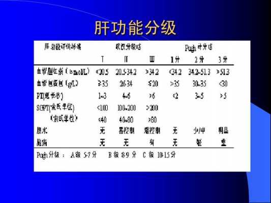 肝功能分级标准最新（肝功能分级评分表）