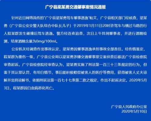 广宁交通事故最新消息（广宁交通违章查询网站）