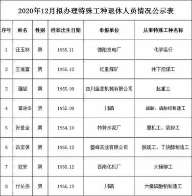 最新水泥厂特殊工种（水泥厂特殊工种退休条件）