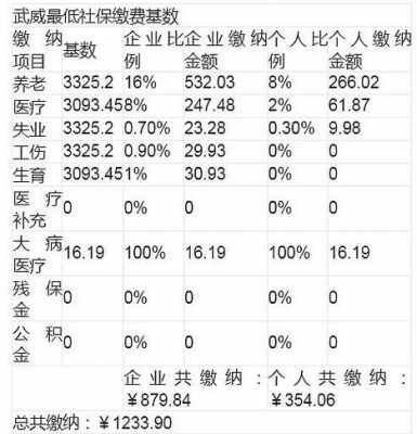 武威社保最新缴纳基数（甘肃省武威市社保基数）