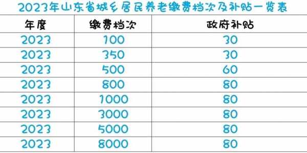 最新山东农村养老政策（山东新型农村养老保险领取标准）