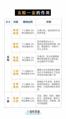 国家最新五险政策（最新五险是哪五险）