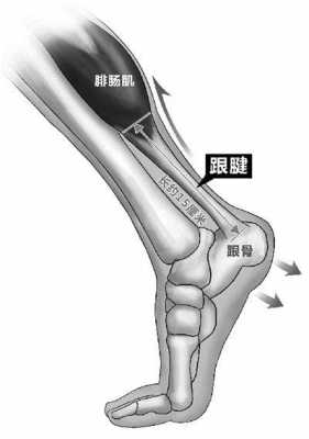 最新跟腱断裂评级标准（跟腱断裂评几级伤残）