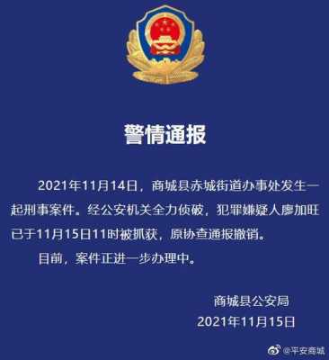 河南最新刑事（河南最新刑事案件查询）