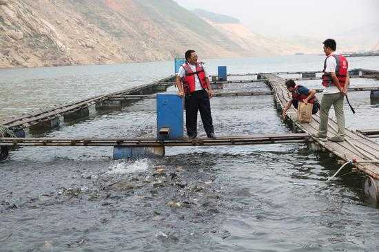 水库养鱼最新信息（水库养鱼技术要点）