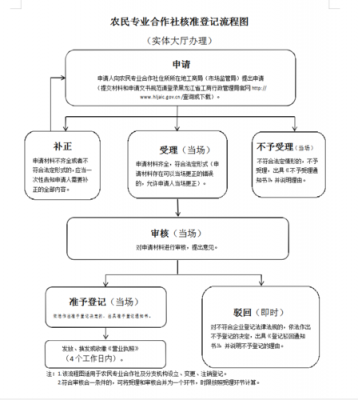 关于办理分支机构最新流程的信息