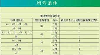 考驾照最新要求（考驾照的最新政策）