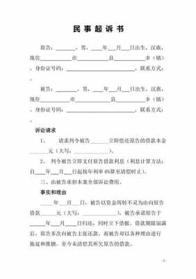 借贷民事诉讼最新（民事借贷诉讼书范文）